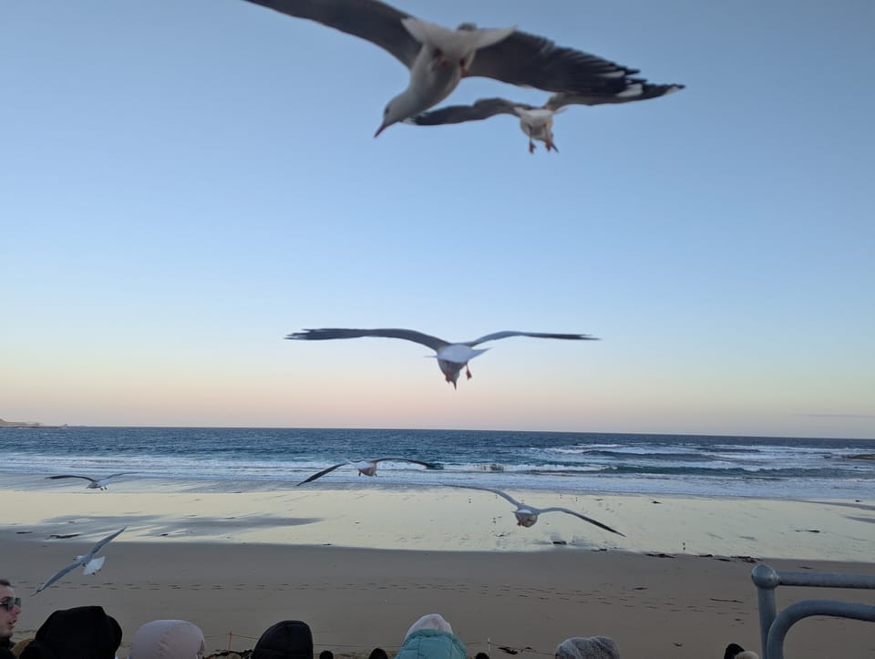 Here we are again friends